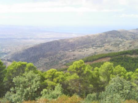 la verdure du rif.