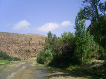 la rive gauche de crona.