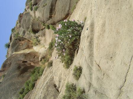 TROP TOP LA NATURE.