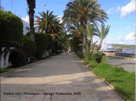 avenue  du  rif.